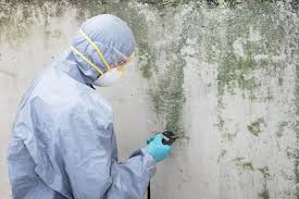 Forensic Mold Investigation in Salem, VA